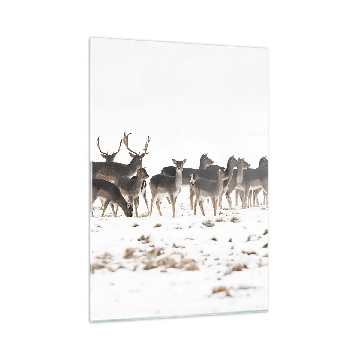 Impression sur verre - Image sur verre - Une photographie d'un troupeau de cerfs dans un paysage enneigé - 50x70cm - Les fêtes approchent ? - Décoration murale moderne pour le salon et la chambre ARTTOR