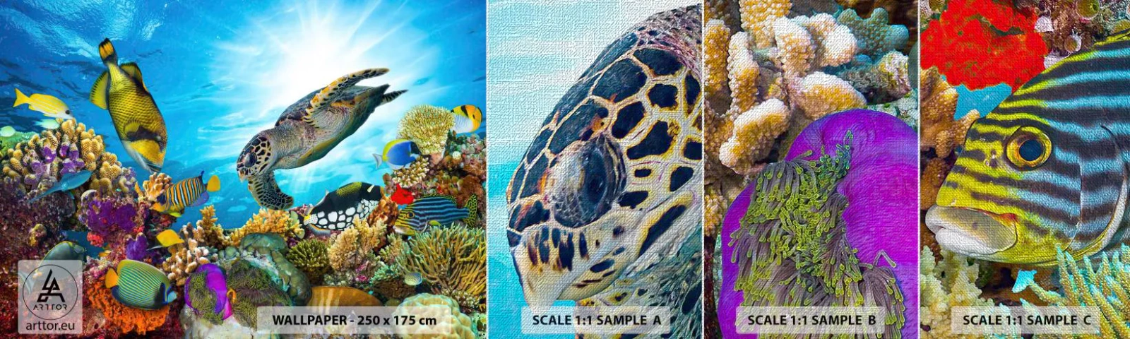 Échantillon de Papier Peint Premium Canvas - Promenade de corail - récif de corail, Mer, Monde sous marin - 100x30 cm