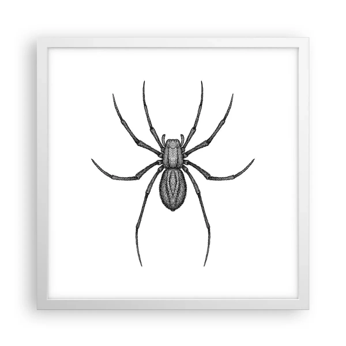 Affiche dans un cadre blanc - Poster - Une précision troublante - 40x40 cm