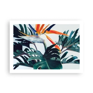 Affiche - Poster - Le buisson oiseaux - 70x50 cm