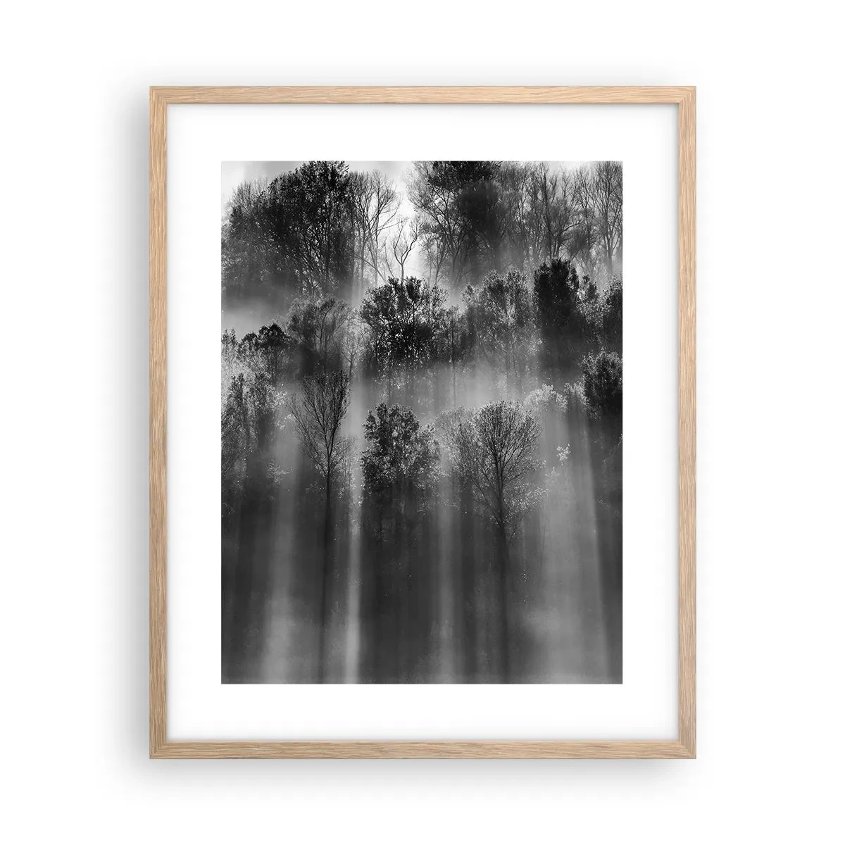 Affiche dans un chêne clair - Poster - Dans les flots de lumière - 40x50 cm