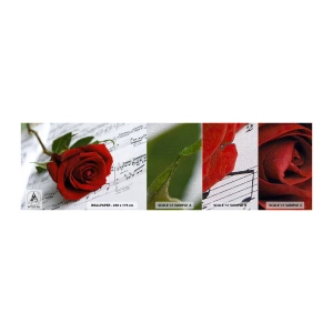 Échantillon de Papier Peint Premium Canvas - Musique des sentiments en écarlate - Fleurs, Rose, Musique - 100x30 cm