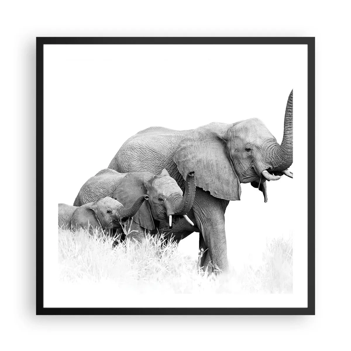 Affiche dans un cadre noir - Poster - Un, deux, trois - 60x60 cm