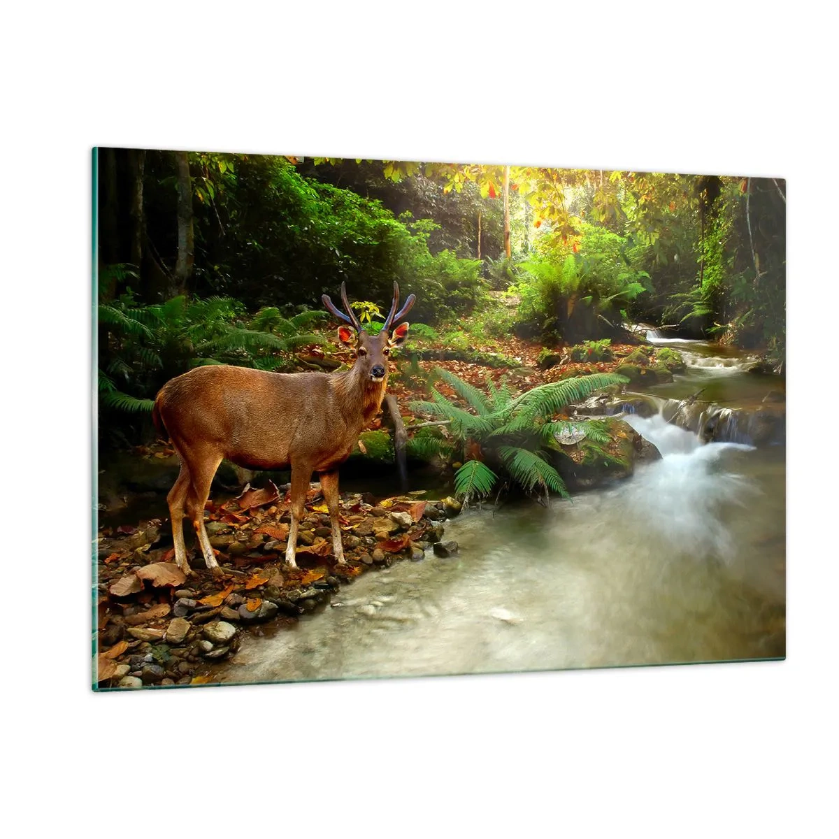 Impression sur verre - Image sur verre - Un cerf près d'un ruisseau dans une forêt ensoleillée - 120x80cm - Bienvenue dans mon monde - Décoration murale moderne pour le salon et la chambre ARTTOR