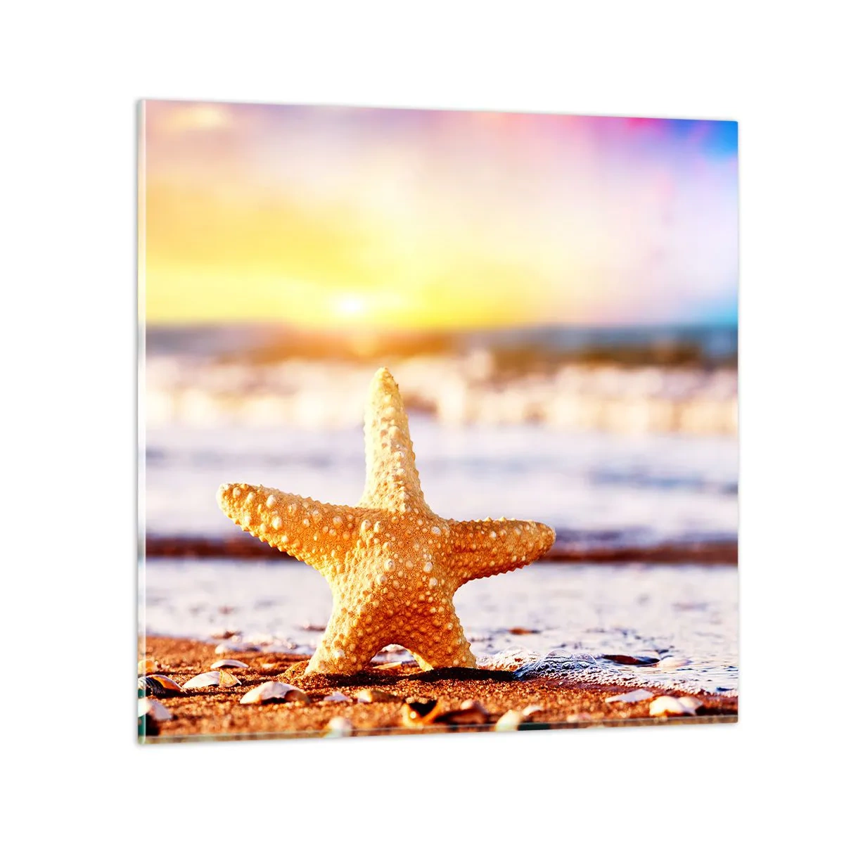 Impression sur verre - Image sur verre - Cadeau de la mer - 50x50 cm