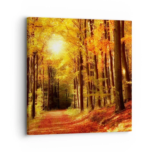 Impression sur toile - Image sur toile - Automne doré sur une route forestière - 30x30 cm
