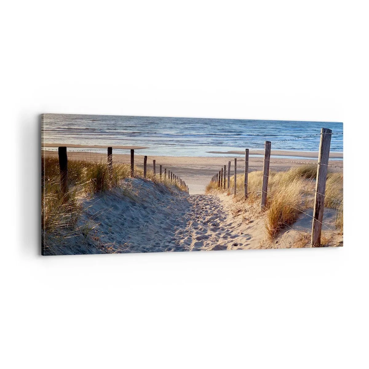 Impression sur toile - Image sur toile - Le bruit de la mer, le chant des oiseaux, une plage sauvage parmi les herbes… - 100x40 cm