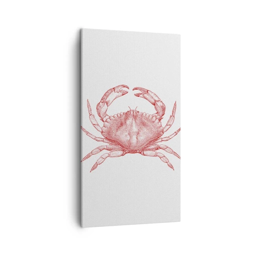 Impression sur toile - Image sur toile - Le crabe des crabes - 45x80 cm