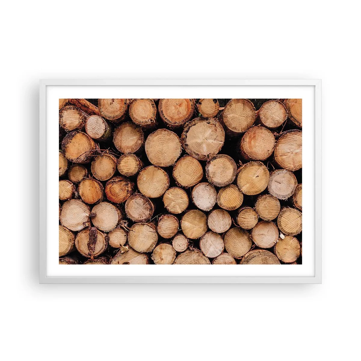 Affiche dans un cadre blanc - Poster - Nouveau commencement - 70x50 cm