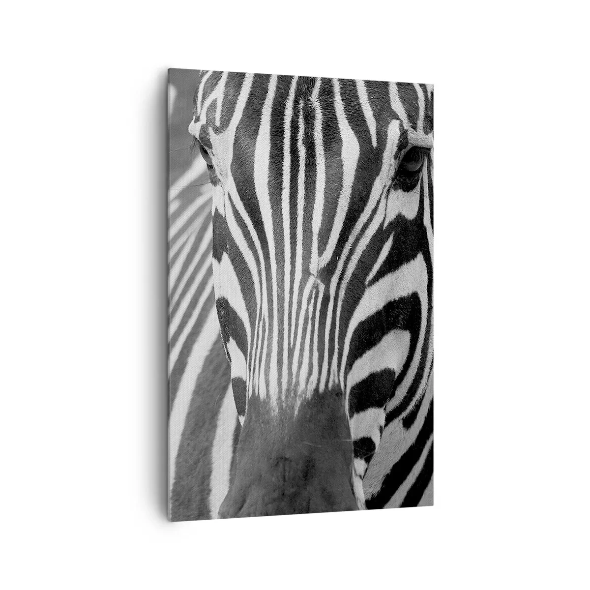 Impression sur toile - Image sur toile - Gros plan noir et blanc d'un zèbre avec ses rayures distinctives. - 80x120cm - Le monde est noir et blanc - Décoration murale moderne pour le salon et la chambre ARTTOR