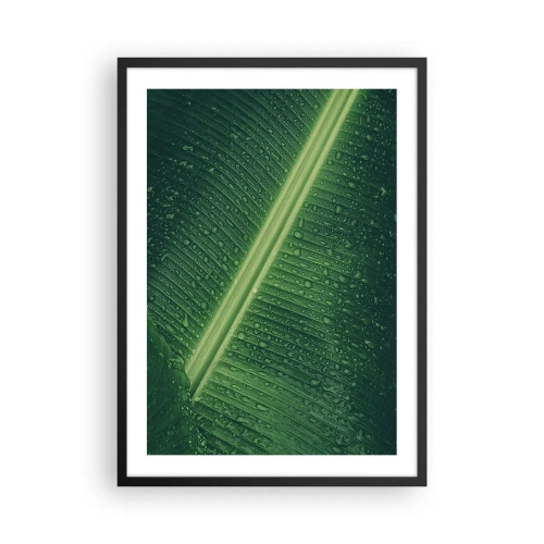 Affiche dans un cadre noir - Poster - Gros plan d'une feuille verte avec des gouttes d'eau - 50x70cm - Structure de vert - Décoration murale moderne pour le salon et la chambre ARTTOR