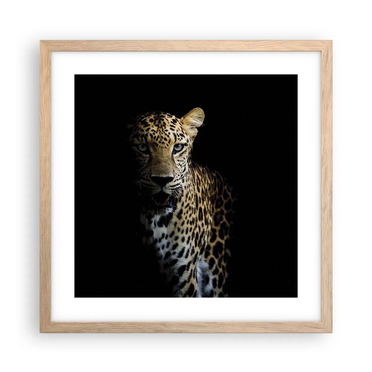 Affiche dans un chêne clair - Poster - Beauté sombre - 40x40 cm