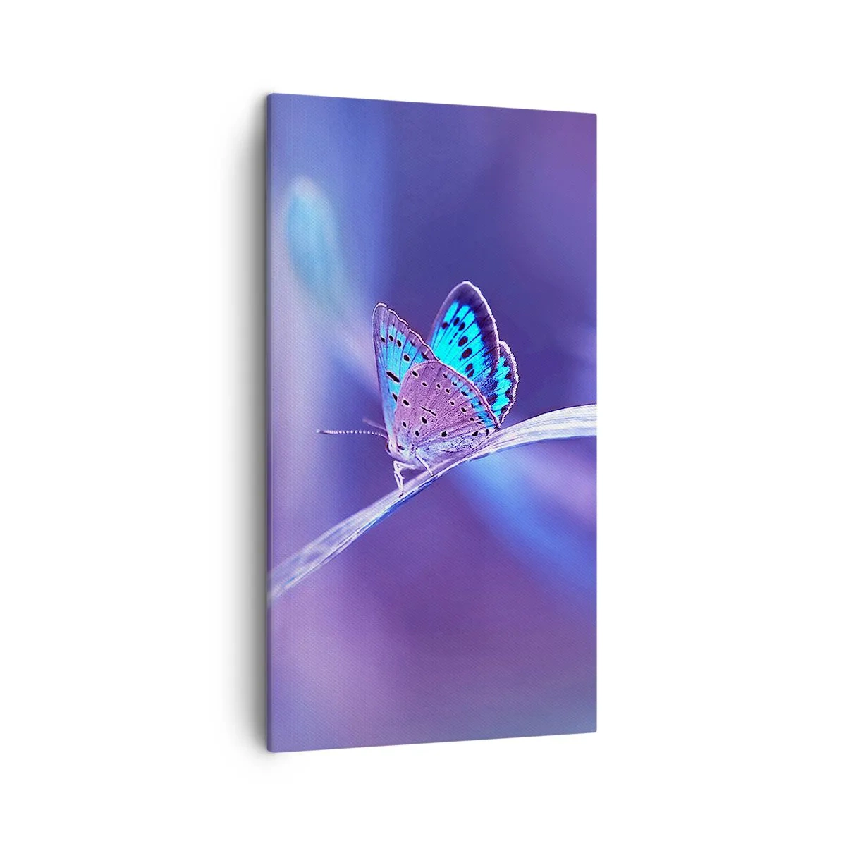 Impression sur toile - Image sur toile - Un joyau de la nature - 45x80 cm