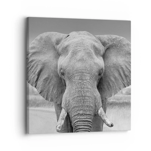 Impression sur toile - Image sur toile - Bienvenue dans mon monde - 30x30 cm