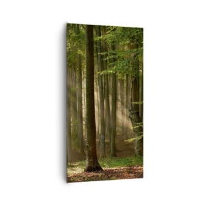 Impression sur toile - Image sur toile - Rayon d'un matin de printemps - 65x120 cm