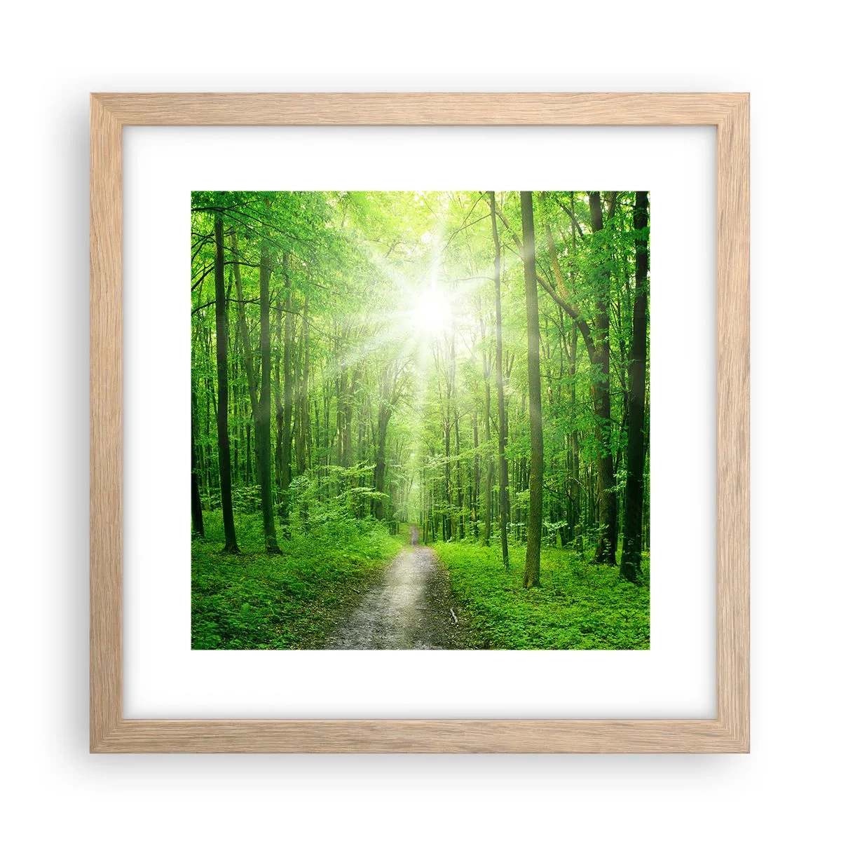 Affiche dans un chêne clair - Poster - Cathédrale verte - 30x30 cm