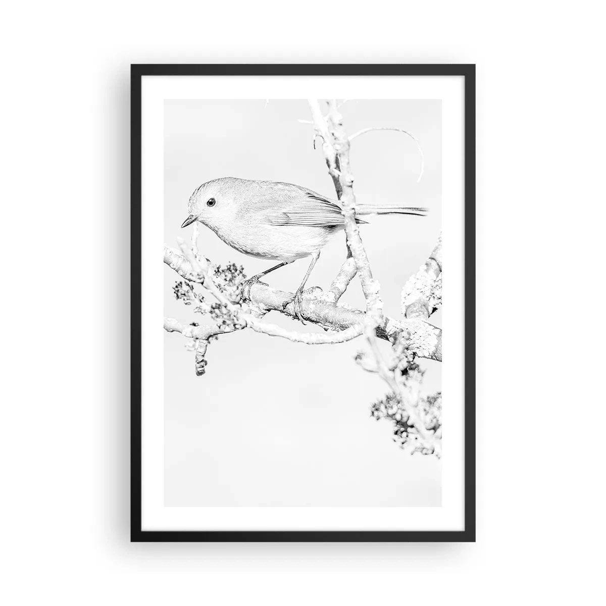 Affiche dans un cadre noir - Poster - Dessin en noir et blanc d'un oiseau sur une branche - 50x70cm - Matin d'hiver - Décoration murale moderne pour le salon et la chambre ARTTOR