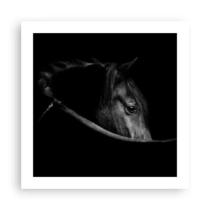 Affiche - Poster - Prince Noir - 50x50 cm