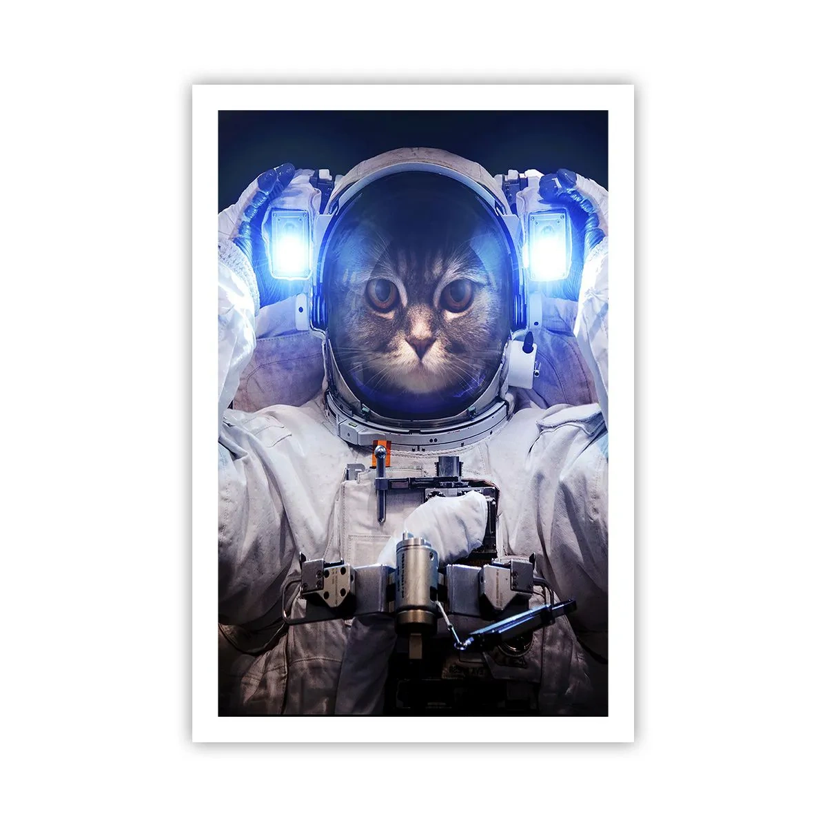 Affiche - Poster - Houston, vous avez un problème - 61x91 cm