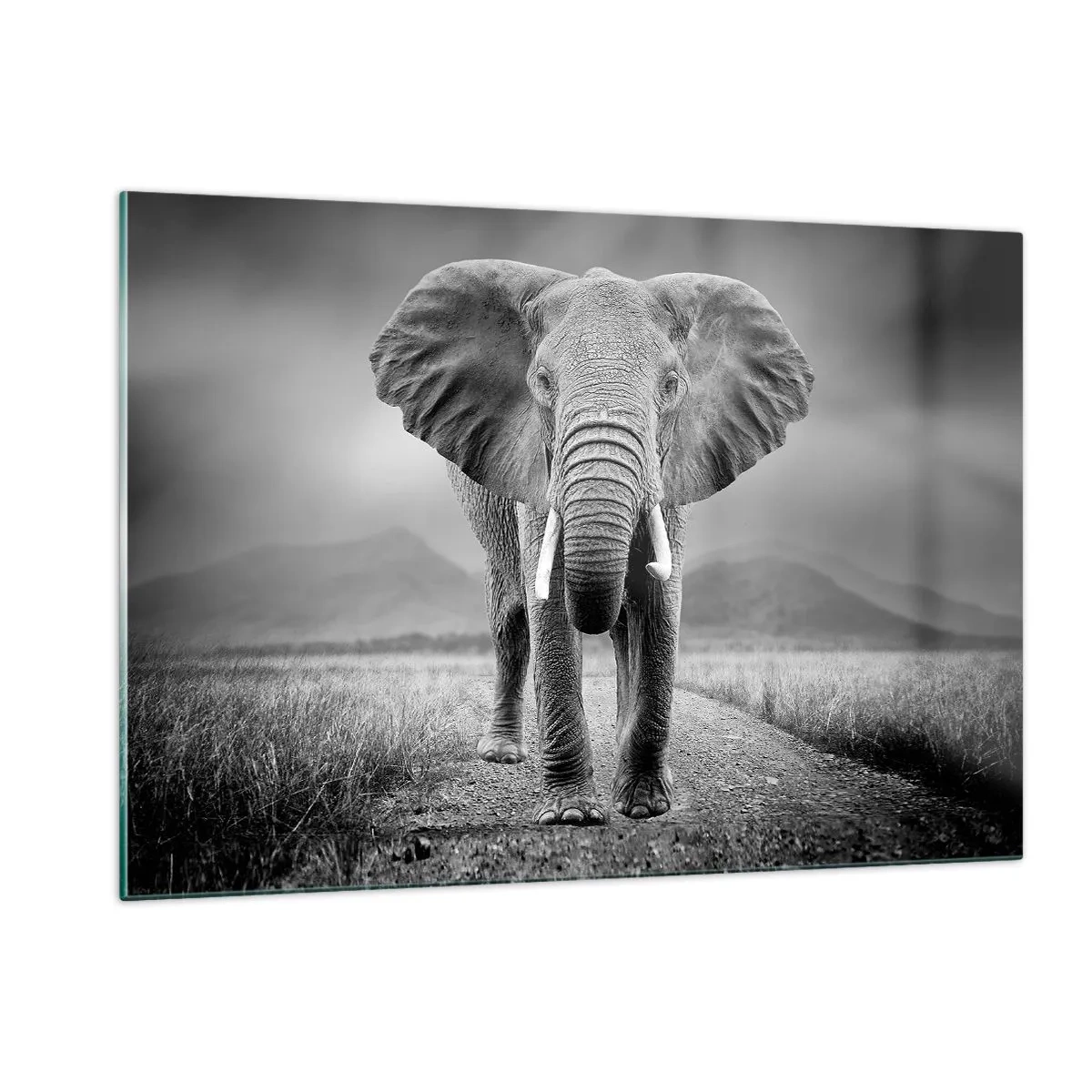 Impression sur verre - Image sur verre - Éléphant dans la savane en noir et blanc - 120x80cm - Les hôtes vous saluent - Décoration murale moderne pour le salon et la chambre ARTTOR