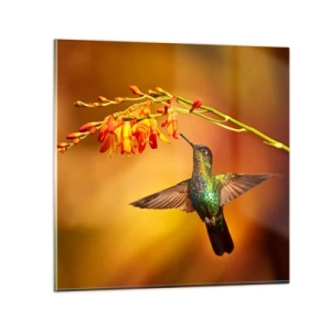 Impression sur verre - Image sur verre - Un messager de lumière selon les Mayas - 30x30 cm