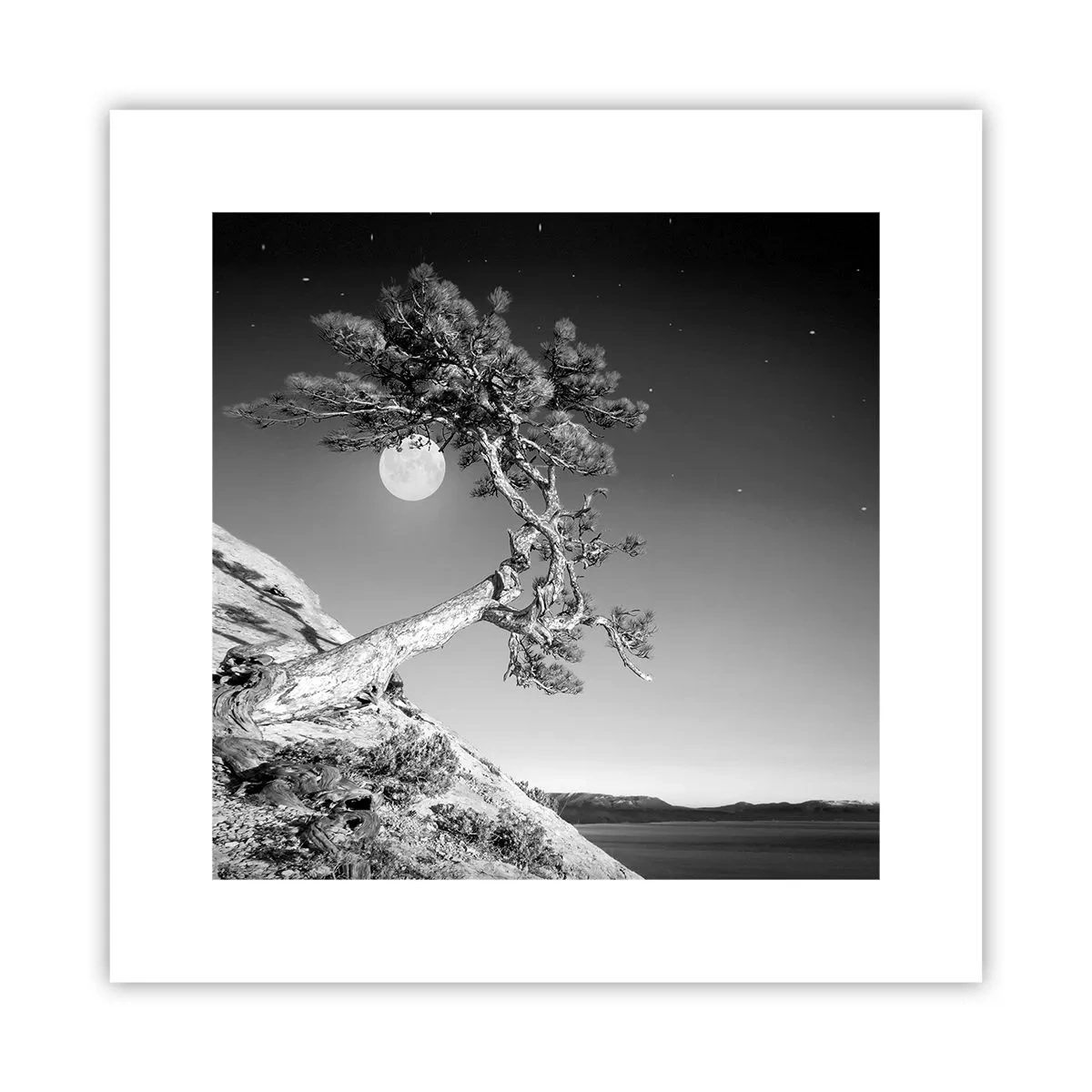 Affiche - Poster - Un combattant vainqueur - 30x30 cm