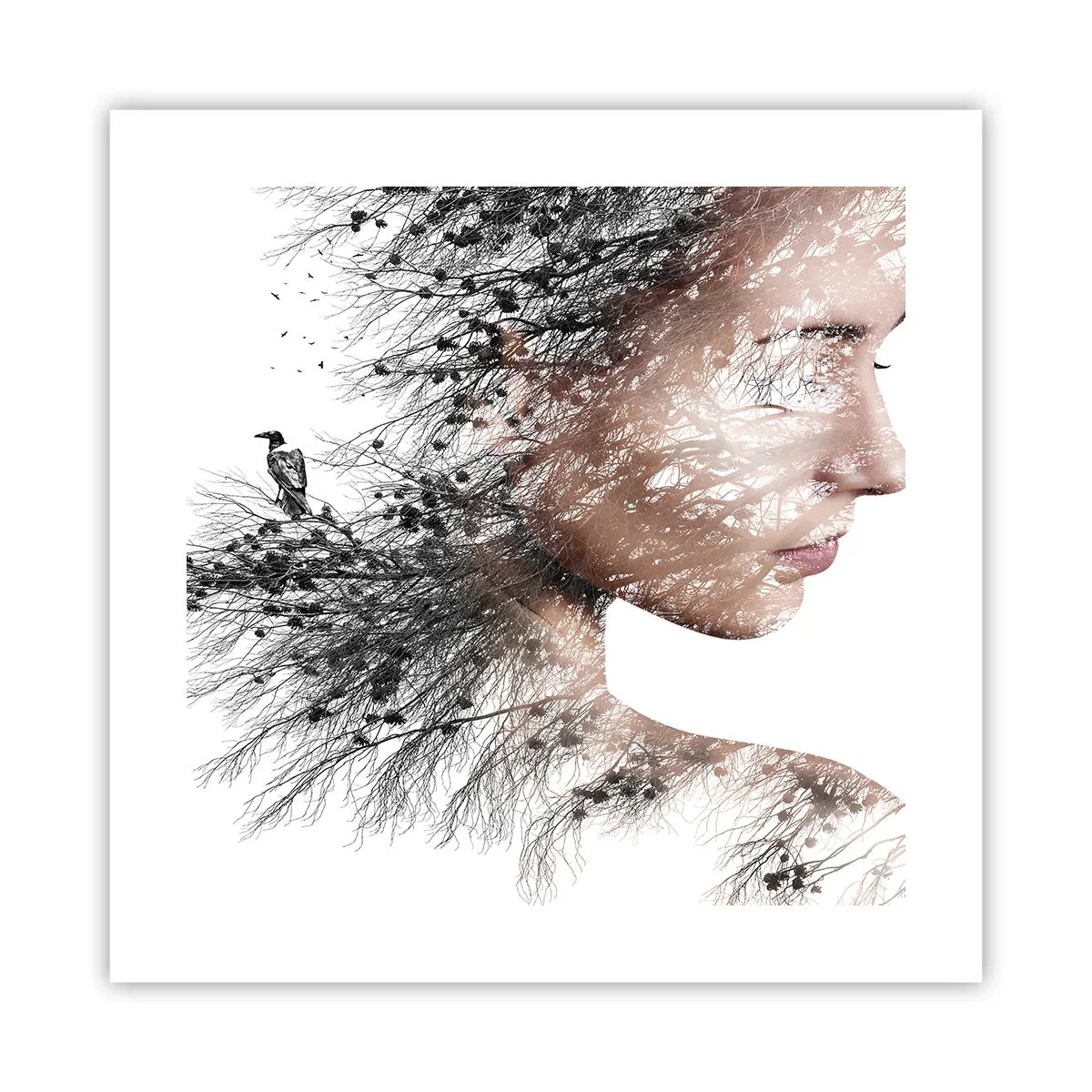 Affiche - Poster - L'âme de la forêt - 40x40 cm