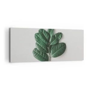 Impression sur toile - Image sur toile - Dessin de la nature elle-même - 100x40 cm