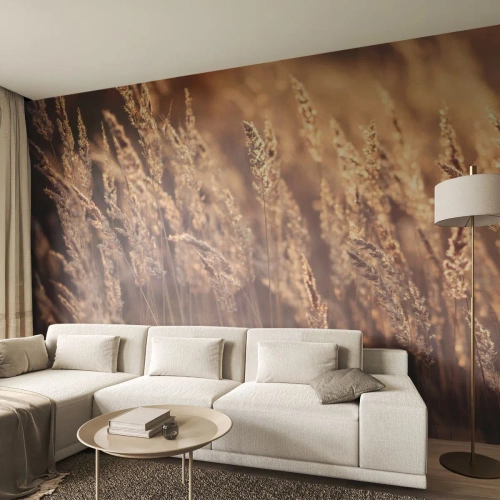 Papier Peint Photo Standard Eco - Prêt à accueillir l'automne - Paysage, Épis de céréales, Prairie - 250x175 cm