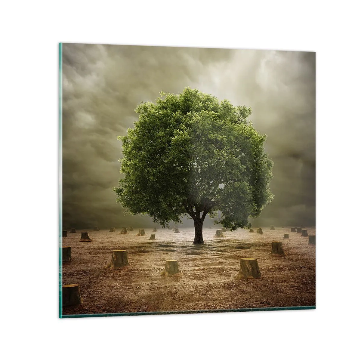 Impression sur verre - Image sur verre - Tout l'espoir - 30x30 cm