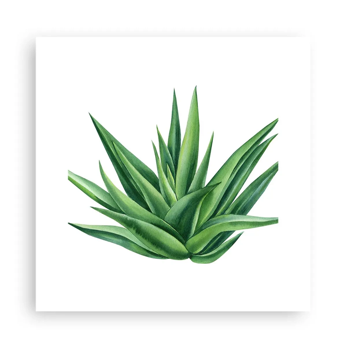 Affiche - Poster - Vert – force – vie - 30x30 cm