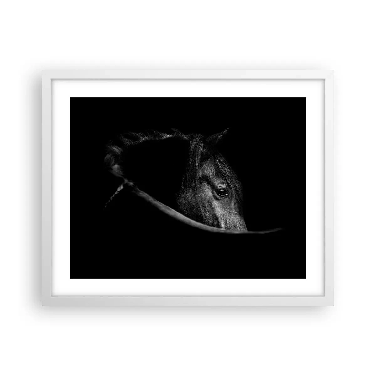 Affiche dans un cadre blanc - Poster - Prince Noir - 50x40 cm