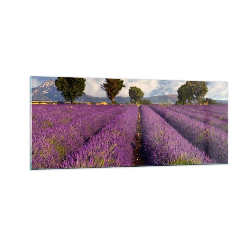Impression sur verre - Image sur verre - Champs de lavande - 100x40 cm