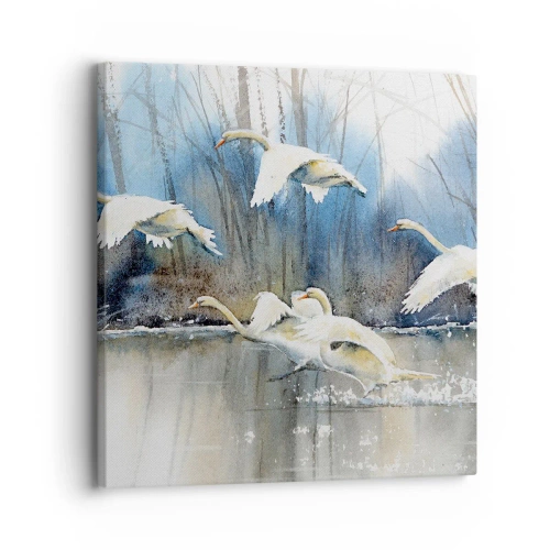 Impression sur toile - Image sur toile - Comme dans un conte de fées sur les cygnes sauvages - 30x30 cm