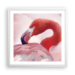 Affiche dans un cadre blanc - Poster - Beauté des oiseaux - 50x50 cm