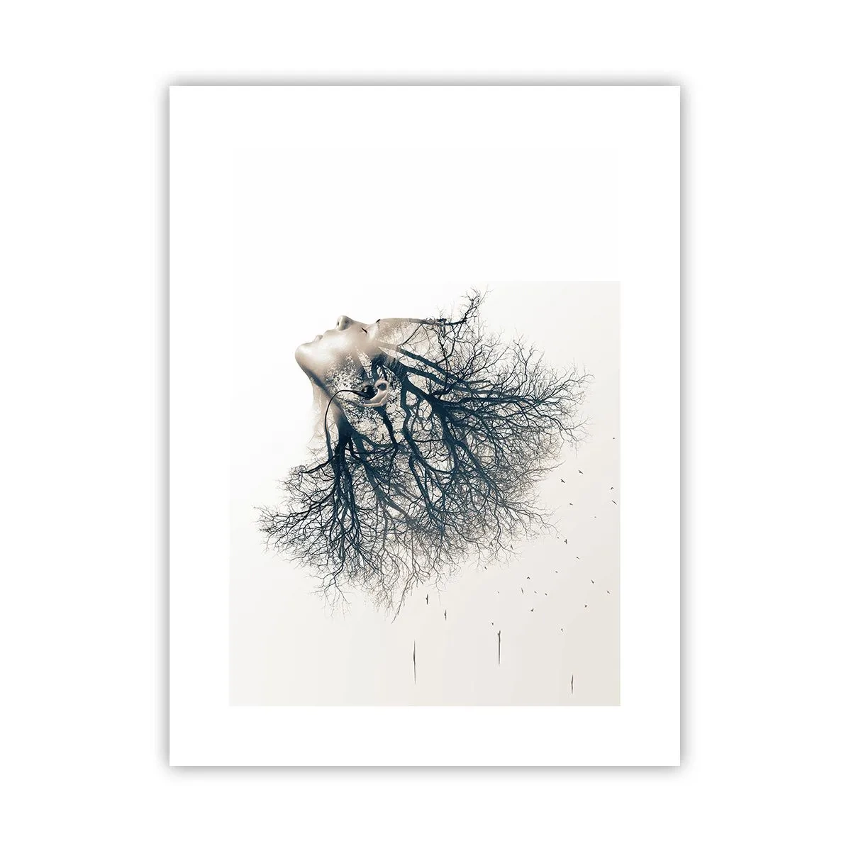 Affiche - Poster - Écouter le murmure des arbres - 30x40 cm