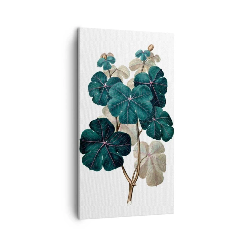 Impression sur toile - Image sur toile - De l'ancien herbier - 45x80 cm