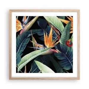 Affiche dans un chêne clair - Poster - Fleurs flamboyantes des tropiques - 50x50 cm