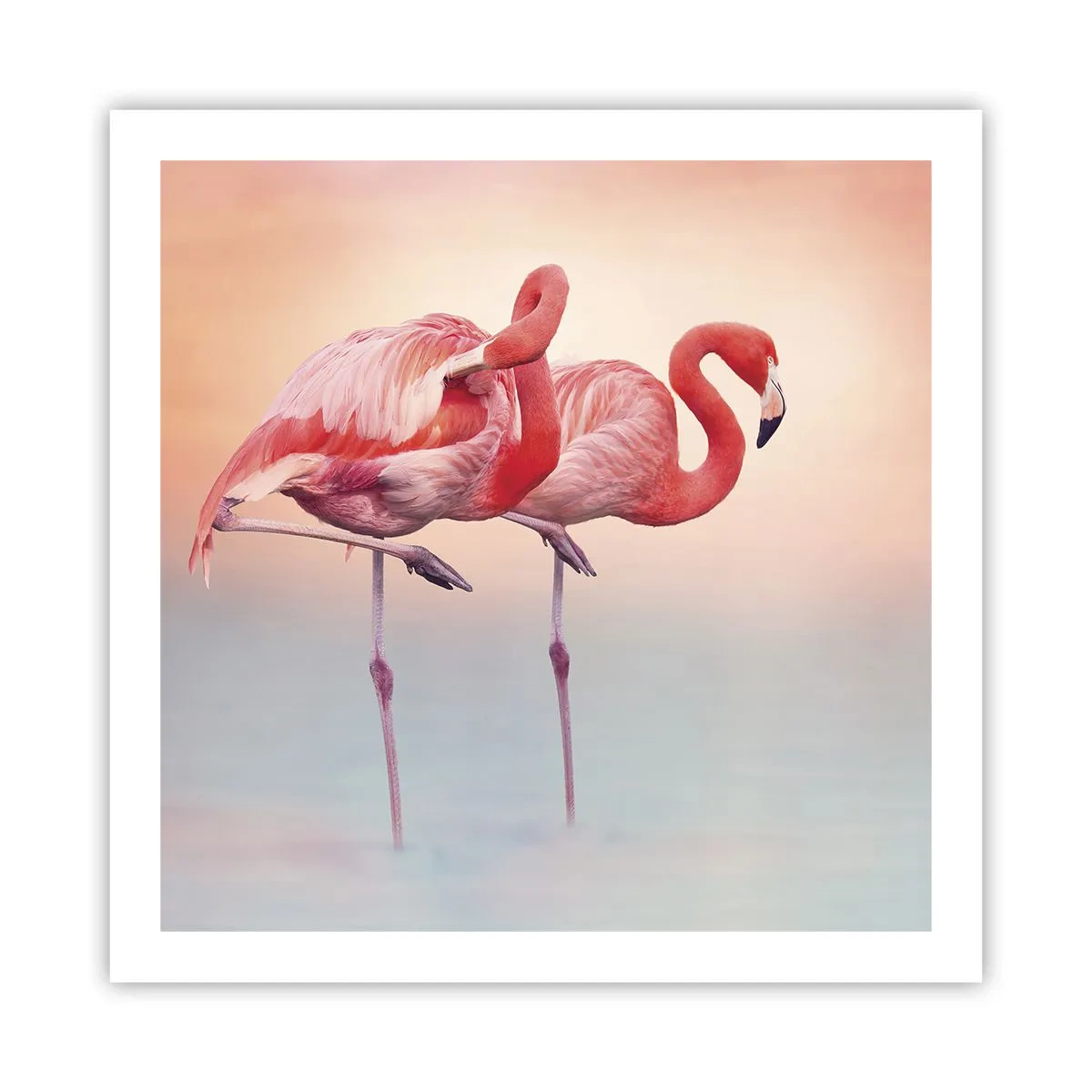 Affiche - Poster - Dans les couleurs du soleil couchant - 60x60 cm