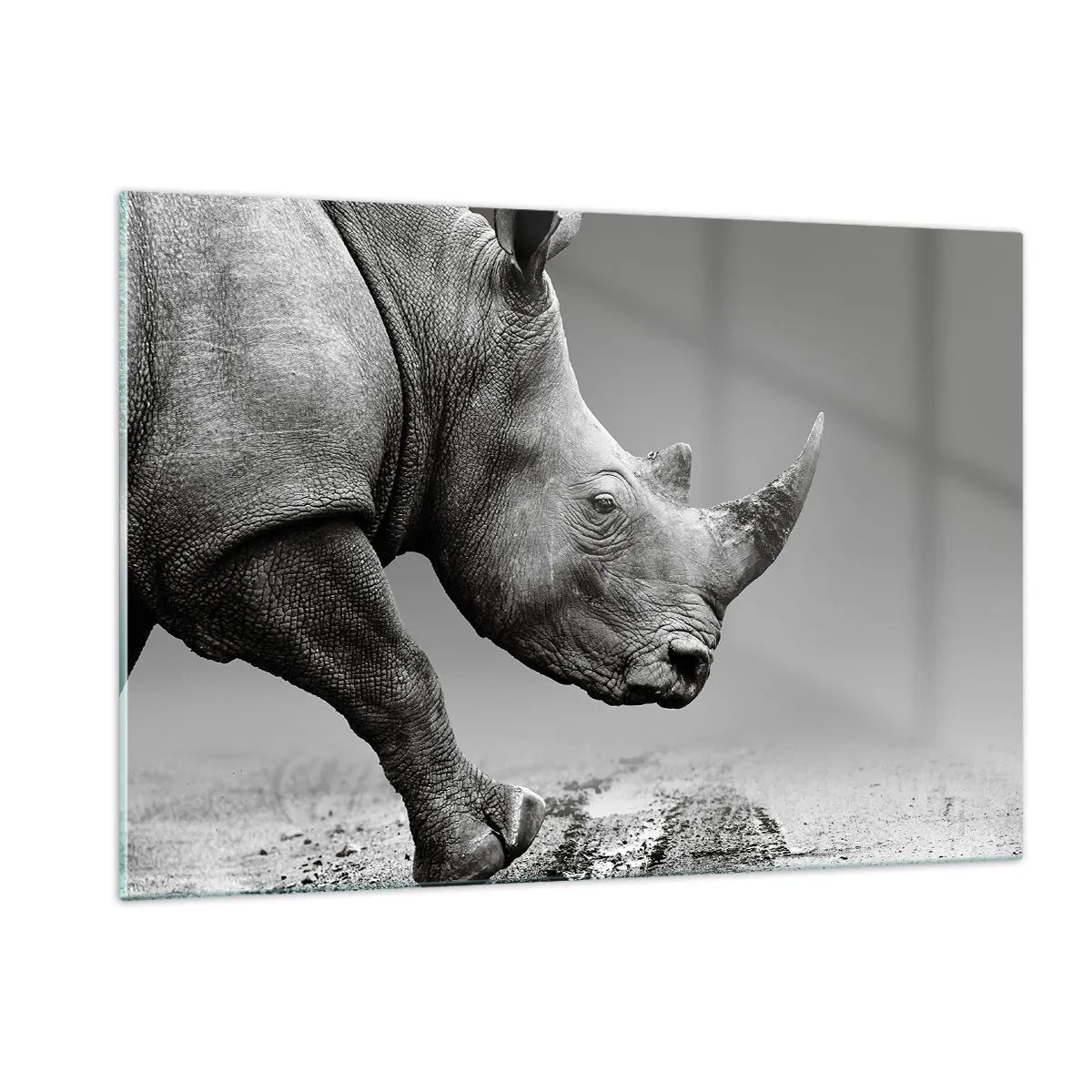 Impression sur verre - Image sur verre - Un rhinocéros en mouvement sur un fond gris - 120x80cm - Force inarrêtable - Décoration murale moderne pour le salon et la chambre ARTTOR