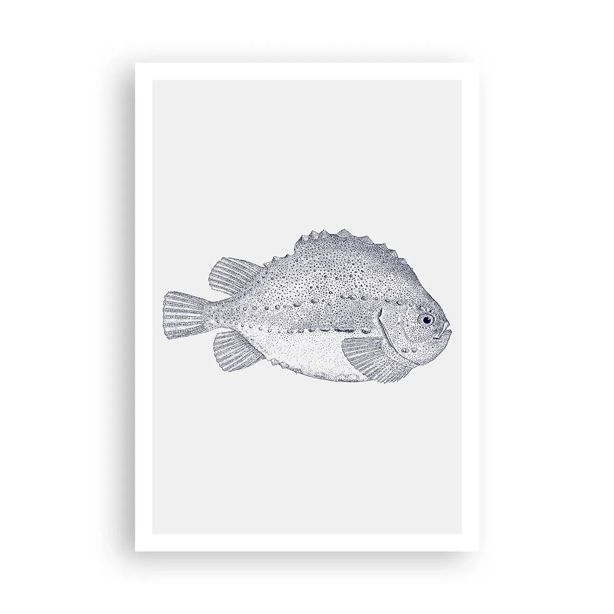 Affiche - Poster - Pour l'album du naturaliste - 70x100 cm