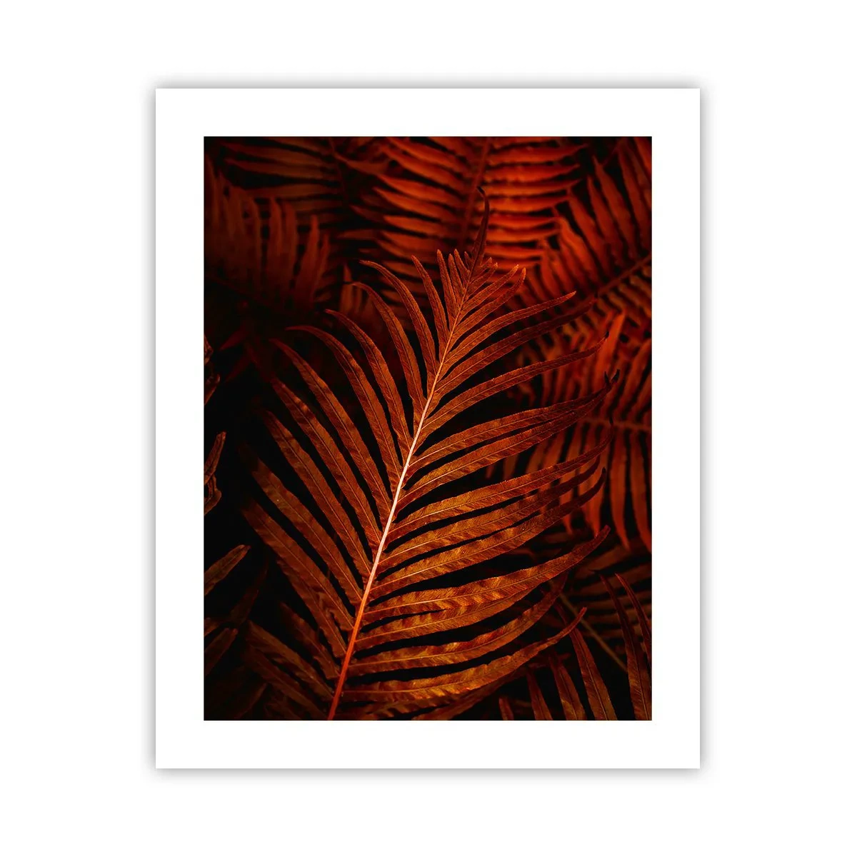 Affiche - Poster - Chaleur de la vie - 40x50 cm