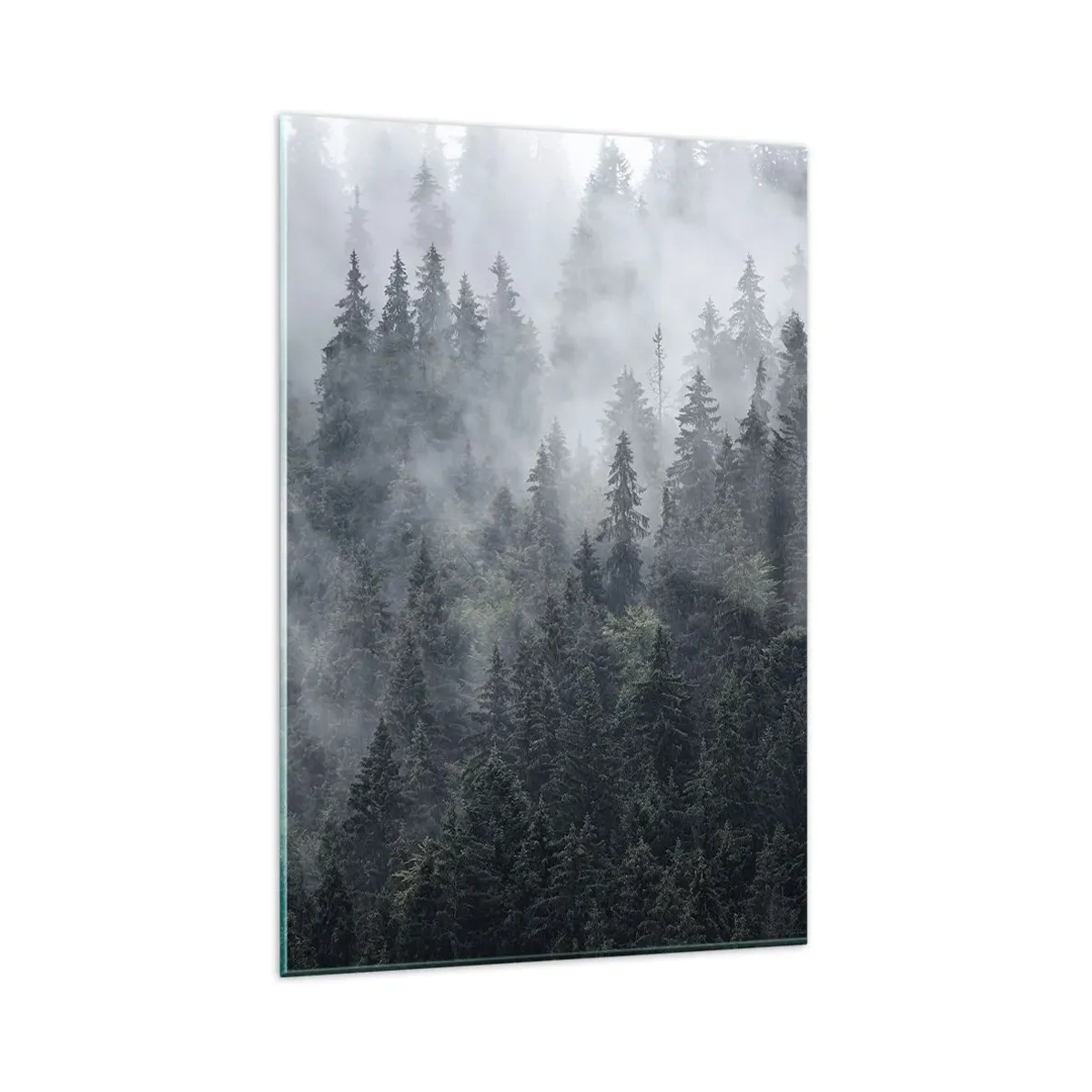 Impression sur verre - Image sur verre - Forêt de conifères brumeuse aux tons gris et verts - 80x120cm - Aube de la forêt - Décoration murale moderne pour le salon et la chambre ARTTOR