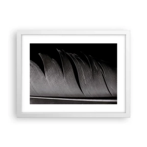 Affiche dans un cadre blanc - Poster - La plume – un design magnifique - 40x30 cm