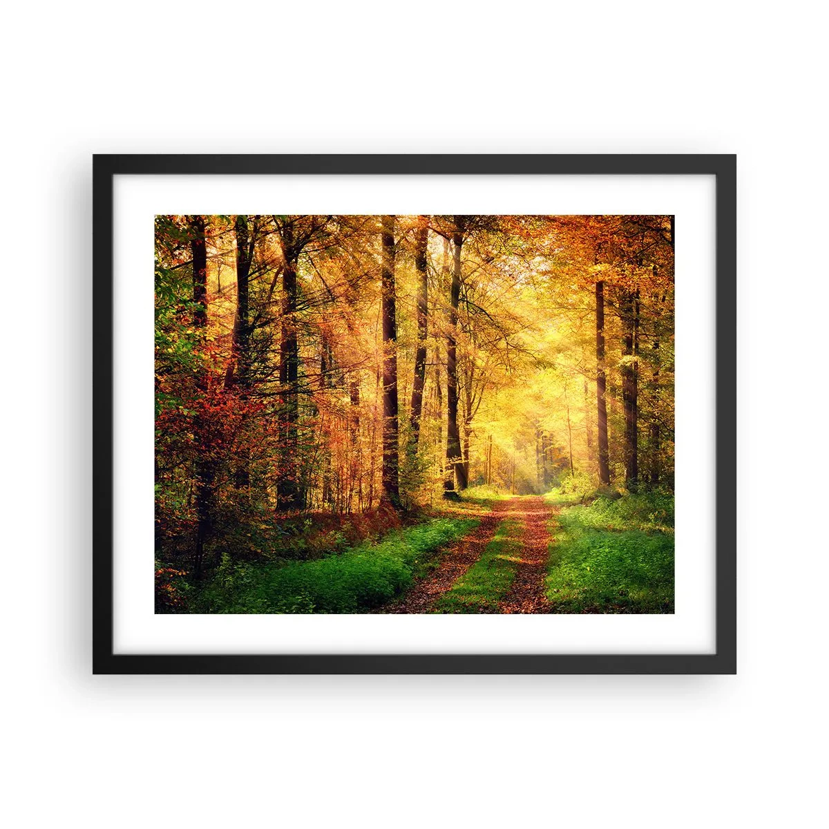 Affiche dans un cadre noir - Poster - Silence d'or en forêt - 50x40 cm