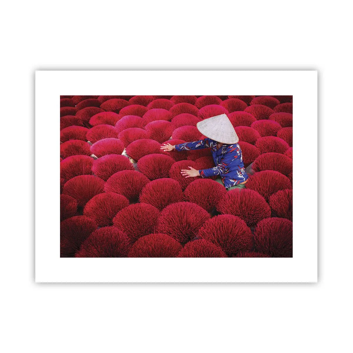 Affiche - Poster - Dans un champ de riz - 40x30 cm