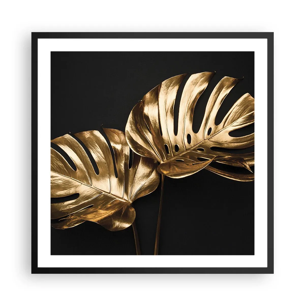 Affiche dans un cadre noir - Poster - Les trésors de la nature - 60x60 cm