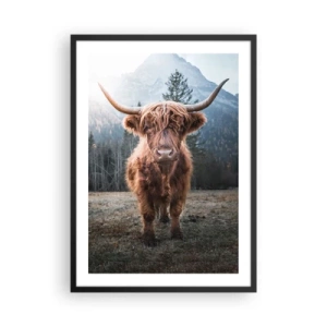 Affiche dans un cadre noir - Poster - Vache écossaise des Highlands avec des montagnes majestueuses en arrière-plan - 50x70cm - Salutations des prairies de montagne - Décoration murale moderne pour le salon et la chambre ARTTOR