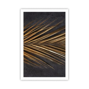 Affiche - Poster - L'or des tropiques - 61x91 cm