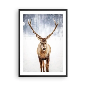 Affiche dans un cadre noir - Poster - Un cerf majestueux sur fond de paysage hivernal - 50x70cm - Directement du brouillard enneigé - Décoration murale moderne pour le salon et la chambre ARTTOR